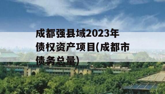 成都强县域2023年债权资产项目(成都市债务总量)