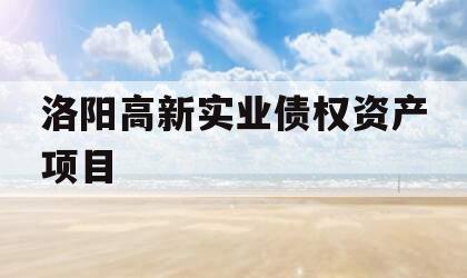 洛阳高新实业债权资产项目