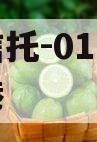 国企信托-01号西安航空港