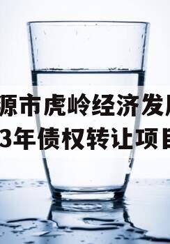 济源市虎岭经济发展2023年债权转让项目