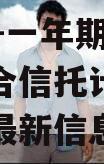 XX信托-一年期仪征非标集合信托计划（仪征招标最新信息网）