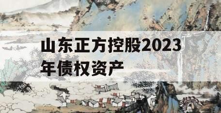 山东正方控股2023年债权资产
