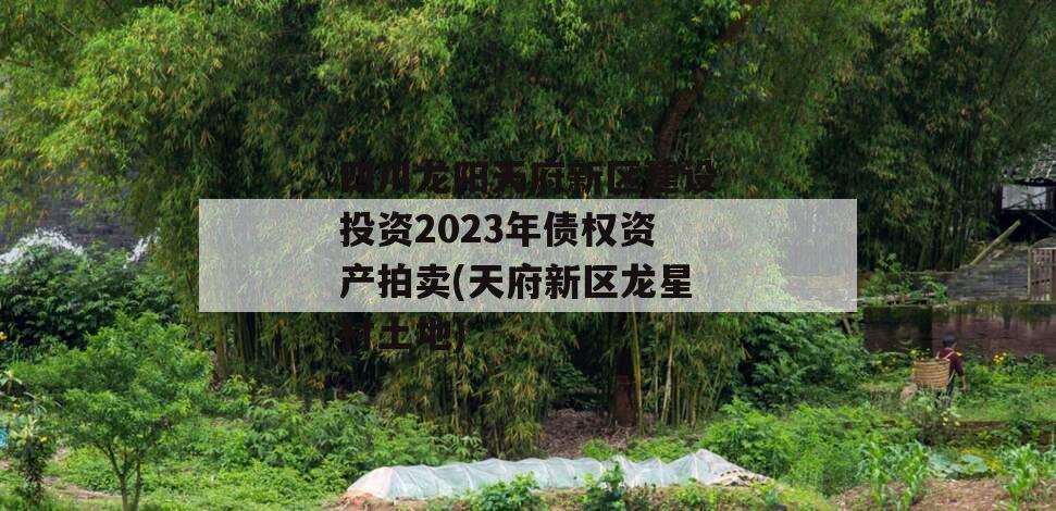 四川龙阳天府新区建设投资2023年债权资产拍卖(天府新区龙星村土地)