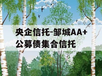 央企信托-邹城AA+公募债集合信托