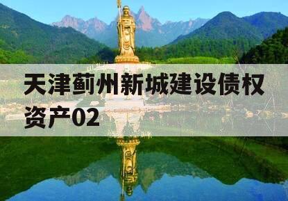 天津蓟州新城建设债权资产02