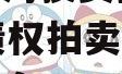 天津宁河投资控股2023年债权拍卖02号政府债定融