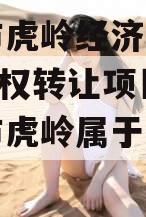 济源市虎岭经济发展2023债权转让项目(济源市虎岭属于哪个区)