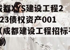成都XYS建设工程2023债权资产001（成都建设工程招标平台）