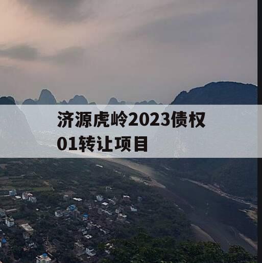 济源虎岭2023债权01转让项目