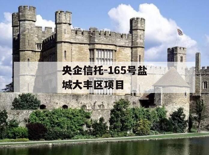 央企信托-165号盐城大丰区项目