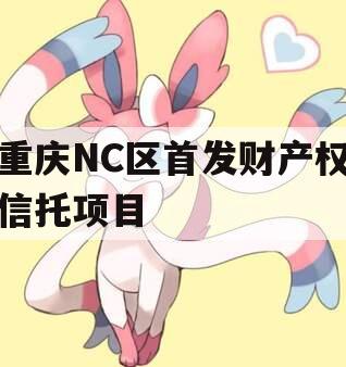 重庆NC区首发财产权信托项目