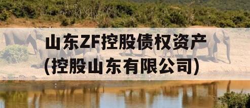 山东ZF控股债权资产(控股山东有限公司)