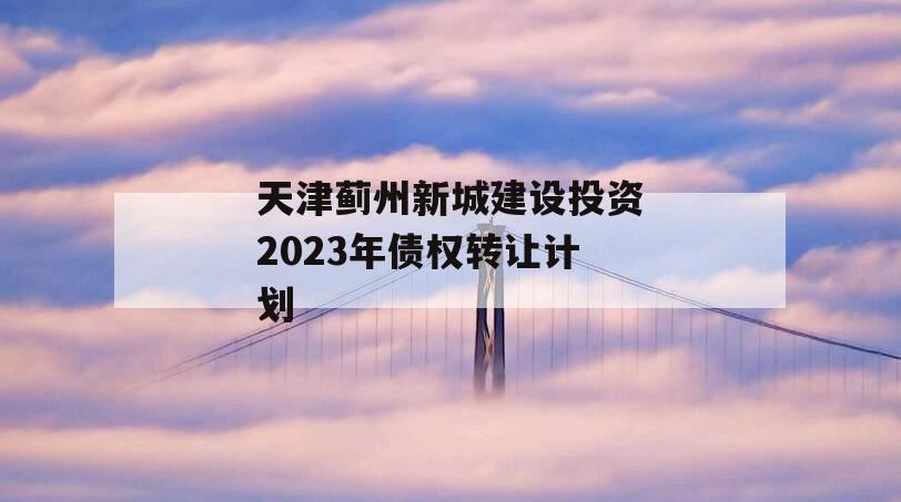 天津蓟州新城建设投资2023年债权转让计划