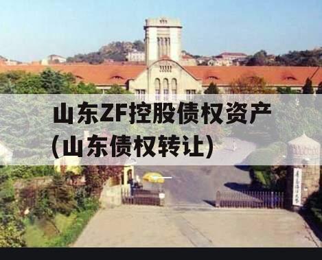 山东ZF控股债权资产(山东债权转让)