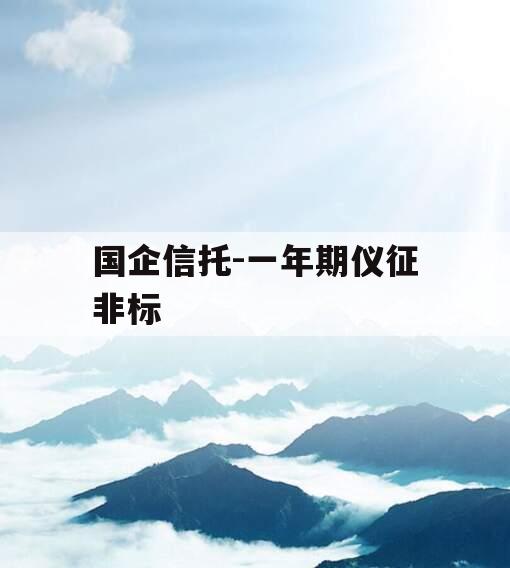 国企信托-一年期仪征非标