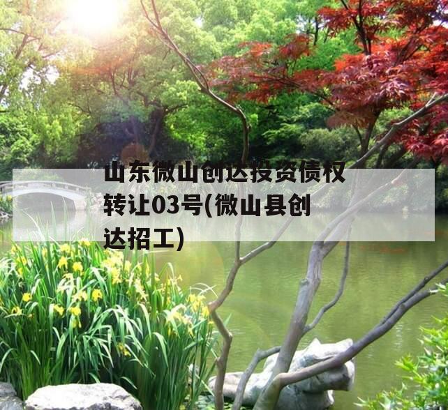 山东微山创达投资债权转让03号(微山县创达招工)