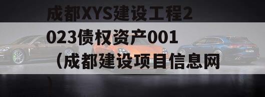 成都XYS建设工程2023债权资产001（成都建设项目信息网）