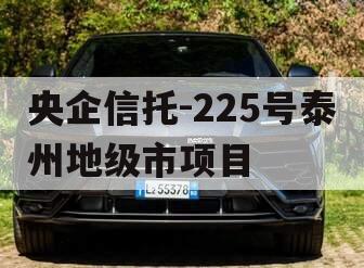 央企信托-225号泰州地级市项目