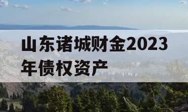 山东诸城财金2023年债权资产