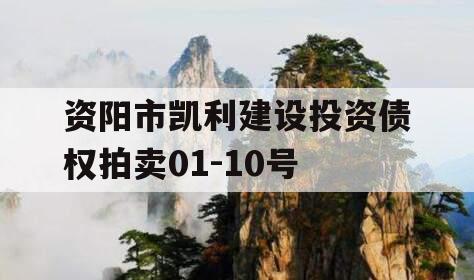 资阳市凯利建设投资债权拍卖01-10号