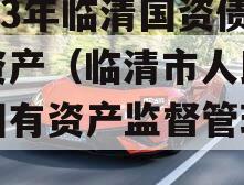 2023年临清国资债权资产（临清市人民政府国有资产监督管理局）