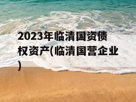 2023年临清国资债权资产(临清国营企业)