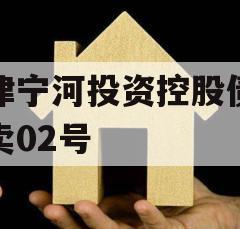 天津宁河投资控股债权拍卖02号