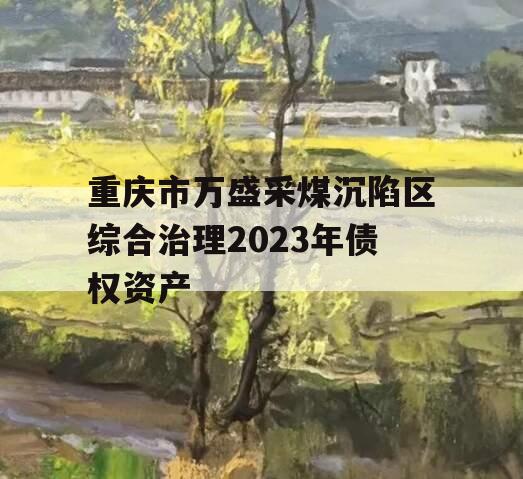 重庆市万盛采煤沉陷区综合治理2023年债权资产