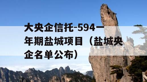 大央企信托-594一年期盐城项目（盐城央企名单公布）