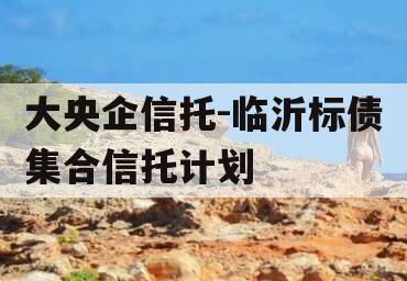 大央企信托-临沂标债集合信托计划