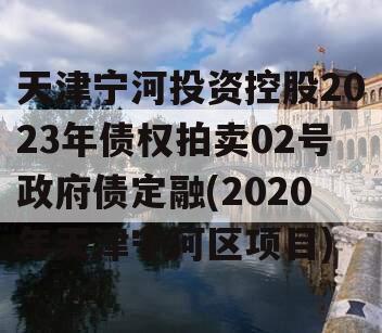 天津宁河投资控股2023年债权拍卖02号政府债定融(2020年天津宁河区项目)