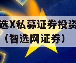 智选X私募证券投资基金（智选网证券）