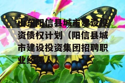 山东阳信县城市建设投资债权计划（阳信县城市建设投资集团招聘职业经理人）