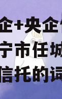 包含国企+央企信托-地级济宁市任城标债政信集合信托的词条
