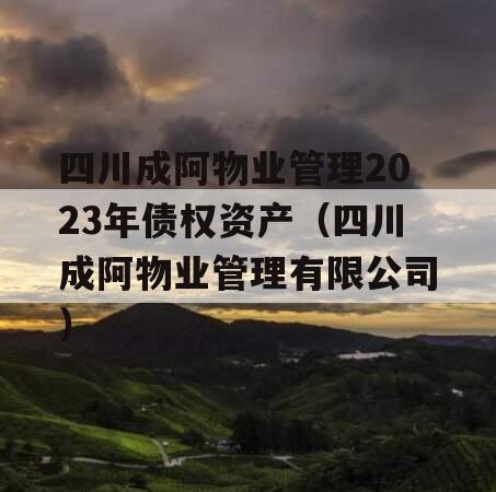 四川成阿物业管理2023年债权资产（四川成阿物业管理有限公司）