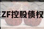 山东ZF控股债权资产