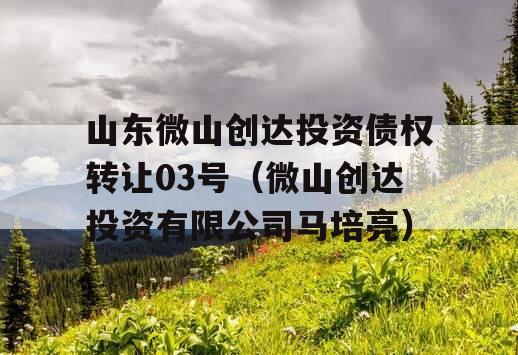 山东微山创达投资债权转让03号（微山创达投资有限公司马培亮）