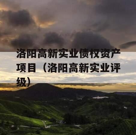 洛阳高新实业债权资产项目（洛阳高新实业评级）
