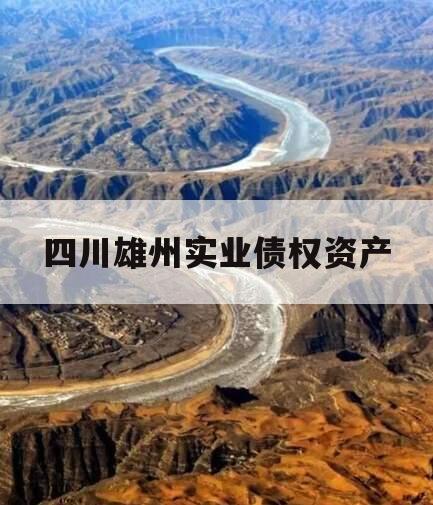 四川雄州实业债权资产