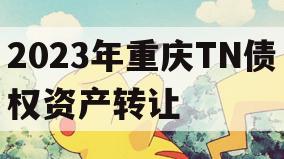 2023年重庆TN债权资产转让