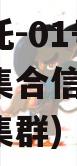 国企信托-01号西安航空港集合信托(西安市航空集群)