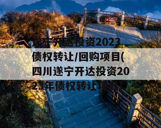遂宁开达投资2023债权转让/回购项目(四川遂宁开达投资2023年债权转让项目)
