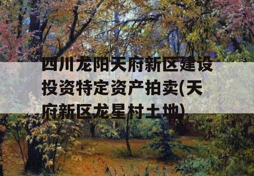 四川龙阳天府新区建设投资特定资产拍卖(天府新区龙星村土地)