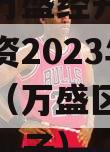 重庆市万盛经开区城市开发投资2023年债权资产（万盛区开投集团领导班子）