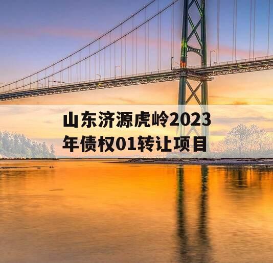 山东济源虎岭2023年债权01转让项目