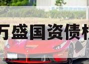 重庆万盛国资债权项目