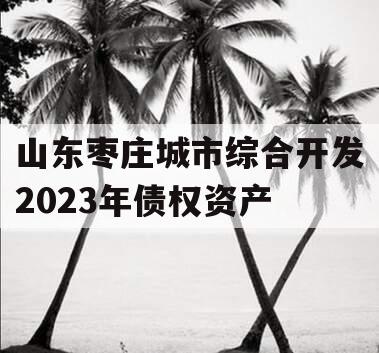 山东枣庄城市综合开发2023年债权资产