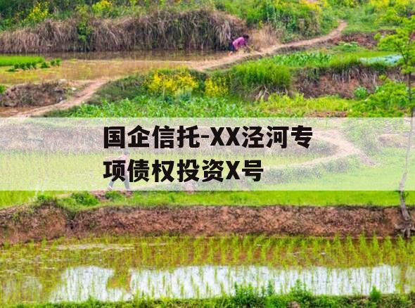 国企信托-XX泾河专项债权投资X号