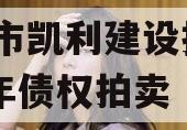 资阳市凯利建设投资2023年债权拍卖