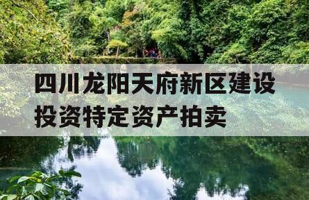 四川龙阳天府新区建设投资特定资产拍卖
